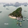 Kỳ quan thiên nhiên thế giới Vịnh Hạ Long. (Nguồn: TTXVN)
