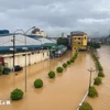 Nhiều khu vực ở Cao Bằng bị ngập nặng. (Nguồn ảnh: TTXVN phát)