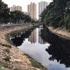 Sông Tô Lịch được biết đến vì nhiều lẽ, trong đó nổi tiếng nhất là bởi sự ô nhiễm. (Ảnh: Hùng Võ/Vietnam+)
