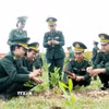 Nữ cán bộ, chiến sĩ Bộ đội Biên phòng tỉnh Quảng Trị hưởng ứng Tết trồng cây Xuân Bính Ngọ năm 2026. (Ảnh: Võ Dung/TTXVN)