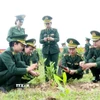 Nữ cán bộ, chiến sĩ Bộ đội Biên phòng tỉnh Quảng Trị hưởng ứng Tết trồng cây Xuân Bính Ngọ năm 2026. (Ảnh: Võ Dung/TTXVN)