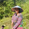 (Ảnh minh họa. Nguồn: PanNature)