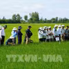 Các tỉnh, thành phố đã hoàn thành việc bố trí, sắp xếp đưa lực lượng cán bộ khuyến nông cấp tỉnh, cấp huyện về xã. Ảnh minh hoạ. (Ảnh: Văn Sĩ/TTXVN)
