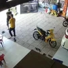 (Ảnh chụp màn hình từ camera an ninh)