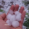 Chủ động ứng phó với dông, lốc, sét, mưa đá trong thời kỳ chuyển mùa. (Nguồn ảnh: TTXVN)