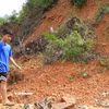 Ảnh minh họa. (Nguồn: Vietnam+)