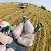 Việt Nam sẵn sàng mở rộng hợp tác Nam - Nam, đồng hành, hỗ trợ các nước châu Phi nâng cao năng lực phát triển nông nghiệp. Ảnh minh hoạ. (Nguồn ảnh: TTXVN)