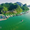 Nuôi cá lồng bè trên Vịnh Gia Luận-Cát Bà. (Ảnh: Trọng Đạt/TTXVN)