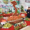 Bắc Ninh xúc tiến tiêu thụ vải thiều và nông sản chủ lực năm 2026. (Ảnh: Việt Hùng/TTXVN)