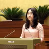 Bộ trưởng Bộ Văn hóa, Thể thao và Du lịch Lâm Thị Phương Thanh trình bày Tờ trình về dự thảo Nghị quyết của Quốc hội về một số cơ chế, chính sách đột phá phát triển văn hoá Việt Nam. (Ảnh: An Đăng/TTXVN)