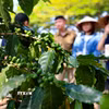 (Ảnh minh họa. Nguồn: TTXVN)