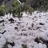 Mưa đá. (Ảnh minh hoạ. Nguồn: TTXVN phát)