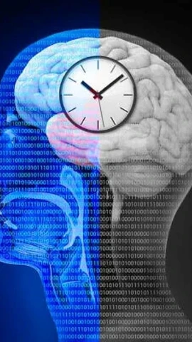 Nhịp sinh học và chu kỳ ngủ-thức bị ảnh hưởng bởi cách việc tiếp xúc với ánh sáng Mặt Trời điều hòa sự tiết melatonin trong não bộ và cơ thể con người. (iStock)