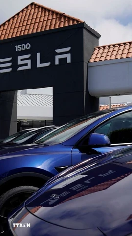 Ôtô điện của hãng Tesla tại cửa hàng ở San Mateo, California, Mỹ. (Ảnh: THX/TTXVN)