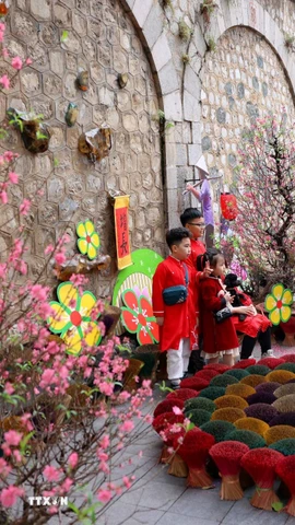 Ảnh minh họa. (Nguồn: TTXVN)