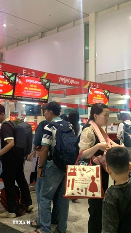 Hành khách check-in tại Cảng hàng không quốc tế Tân Sơn Nhất. (Ảnh: Hồng Đạt/TTXVN)