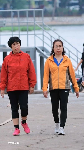 Ảnh minh họa. (Nguồn: TTXVN)