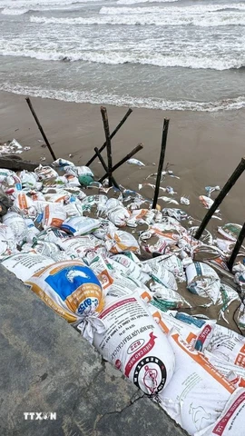 Các bao cát được chèn vào các khu vực nước biển xâm thực để hạn chế sạt lở. (Ảnh: Trần Lê Lâm/TTXVN)