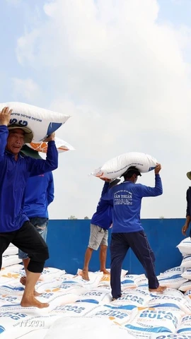 Bốc xếp gạo xuất khẩu. (Ảnh: Hồng Đạt/TTXVN)