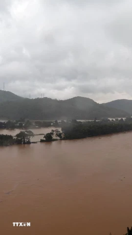 Nước lũ dâng cao trên sông Cu Đê, thành phố Đà Nẵng. (Ảnh: Đỗ Trưởng/TTXVN)