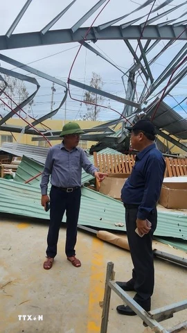 Chủ tịch UBND tỉnh Gia Lai Phạm Anh Tuấn (đội mũ cối) kiểm tra công tác khắc phục bão số 13 ở các doanh nghiệp khu kinh tế Nhơn Hội. (Ảnh: Sỹ Thắng/TTXVN)