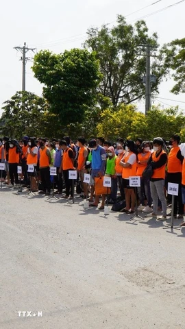 Công dân Việt Nam do lực lượng chức năng Campuchia trao trả tại Cửa khẩu quốc tế Dinh Bà (xã Tân Hộ Cơ, tỉnh Đồng Tháp). (Ảnh: Nhựt An/TTXVN)