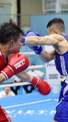 Boxing hứa hẹn giúp Việt Nam giành nhiều HCV. (Ảnh: Hoài Thu/TTXVN)