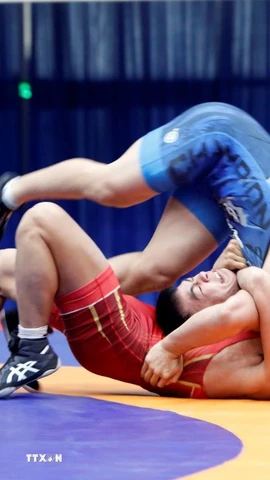 Môn vật hứa hẹn giành 3-4 huy chương Vàng trong ngày hôm nay. (Ảnh: Trần Việt/TTXVN)