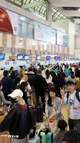 Người dân xếp hàng làm thủ tục rời Hà Nội tại sân bay Nội Bài. (Ảnh: Quốc Khánh/TTXVN)