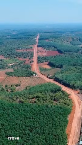 Không chỉ mang ý nghĩa bảo vệ tài nguyên thiên nhiên, những cánh rừng Mã Đà còn đóng vai trò quan trọng trong điều hòa khí hậu, giữ nguồn nước và bảo vệ môi trường sinh thái cho khu vực. (Ảnh: Đậu Tất Thành/TTXVN)