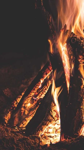 Ảnh minh họa. (Nguồn: Shutterstock)