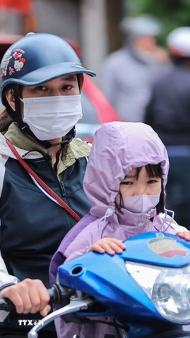 Ảnh minh họa. (Ảnh: Hoàng Hiếu/TTXVN)