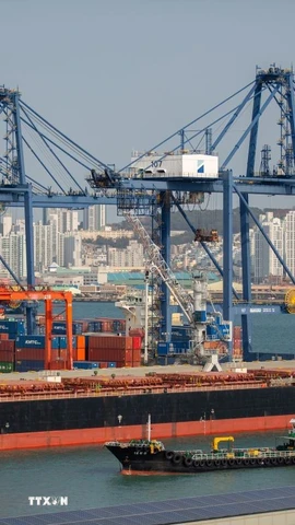 Quang cảnh cảng hàng hóa tại Busan, Hàn Quốc. (Ảnh: THX/TTXVN)
