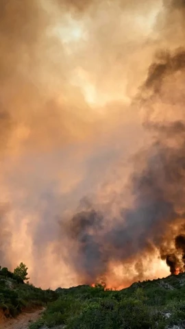 Cháy rừng ở Pháp. (Nguồn: Guardian)