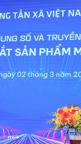 Ông Nguyễn Tuấn Hùng, Phó bí thư thường trực Đảng ủy, phó Tổng giám đốc TTXVN phát biểu chỉ đạo. (Ảnh: Phan Phương/TTXVN)