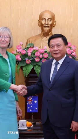 Giám đốc Học viện Chính trị quốc gia Hồ Chí Minh Nguyễn Xuân Thắng tiếp Đại sứ Australia tại Việt Nam Gillian Bird. (Ảnh: Văn Điệp/TTXVN)
