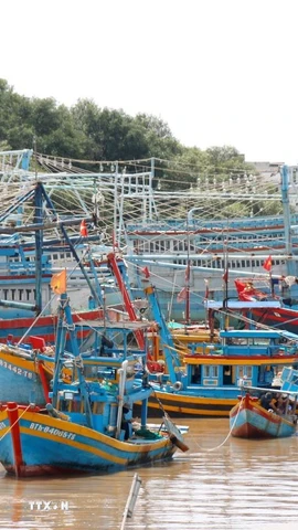 (Ảnh: Nguyễn Thanh/TTXVN)