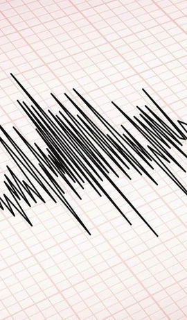 Ảnh minh họa. (Nguồn: Freepik)