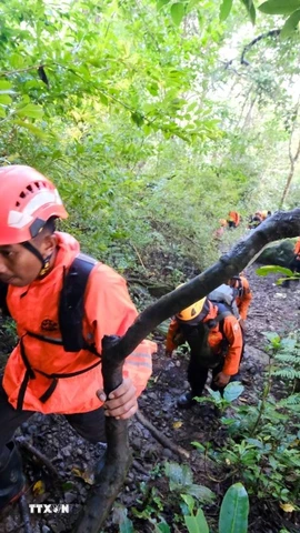 Hình ảnh do Cơ quan Tìm kiếm và Cứu nạn Quốc gia Indonesia công bố cho thấy đội tìm kiếm, cứu nạn phải leo dọc các sườn núi hẹp, trơn trượt, trong điều kiện tầm nhìn rất hạn chế. (Ảnh: THX/TTXVN)