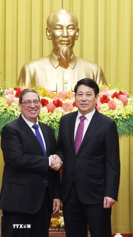 Chủ tịch nước Lương Cường tiếp Đặc phái viên Đảng Cộng sản Cuba, Nhà nước Cộng hòa Cuba, Ủy viên Bộ Chính trị, Bộ trưởng Ngoại giao Cuba Bruno Rodríguez Parrilla. (Ảnh: Lâm Khánh/TTXVN)