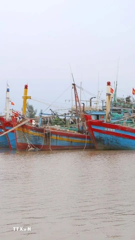 Ảnh minh họa. (Ảnh: Công Luật/TTXVN)