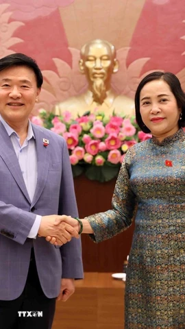 Phó Chủ tịch Quốc hội Nguyễn Thị Thanh với Giáo sư Kim Hak-Min, Chủ tịch Hội đồng Tư vấn thẩm định đạo đức Quốc hội của Hàn Quốc. (Ảnh: An Đăng/TTXVN)