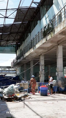 Cảng cá Quy Nhơn tan hoang sau bão số 13. (Ảnh: Đình Quân/TTXVN)