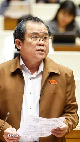 Đại biểu Quốc hội Thành phố Hồ Chí Minh Nguyễn Tâm Hùng phát biểu. (Ảnh: Doãn Tấn/TTXVN)