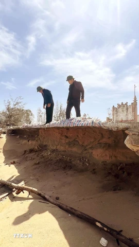 Bờ biển xã Bắc Trạch bị sóng biển xâm thực nghiêm trọng, cuốn trôi rừng phòng hộ và phá hủy các công trình nơi đây. (Ảnh: Nguyên Linh/TTXVN)