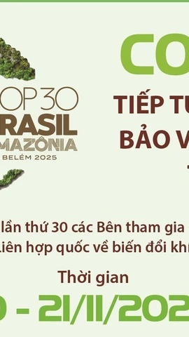 COP30 tiếp tục nỗ lực bảo vệ khí hậu toàn cầu