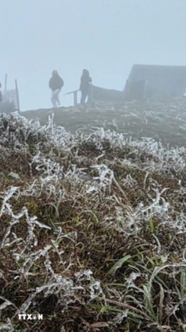 Sáng 22/1, nhiệt độ tại Mẫu Sơn, tỉnh Lạng Sơn đo được ở mức 0.2 độ C và đã bắt đầu xuất hiện hiện tượng băng giá. (Ảnh: TTXVN phát)