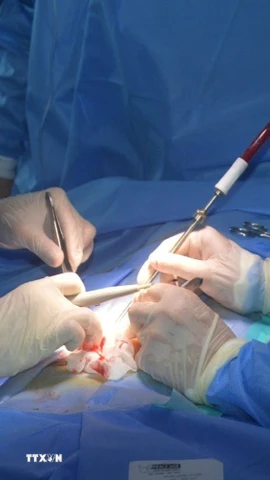 Ảnh minh họa. (Ảnh: TTXVN phát)