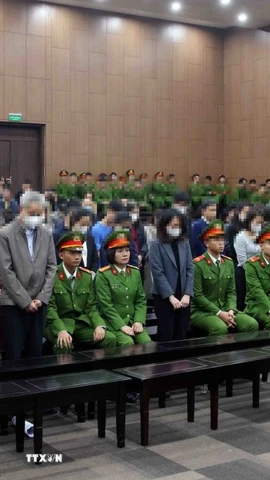 Các bị cáo nghe tòa tuyên án. (Ảnh: Phạm Kiên/TTXVN)