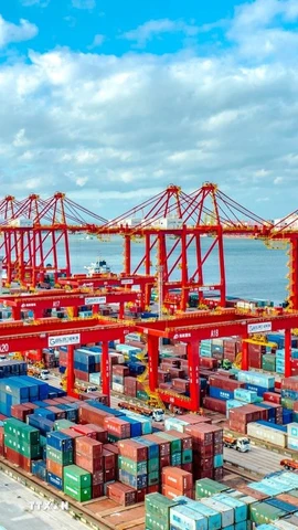 Cảng hàng hóa ở Sơn Đông, Trung Quốc. (Ảnh: THX/TTXVN)